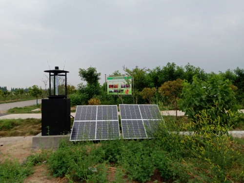 智能蟲情測報儀使用方法