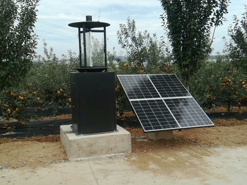 蟲情測報儀安裝